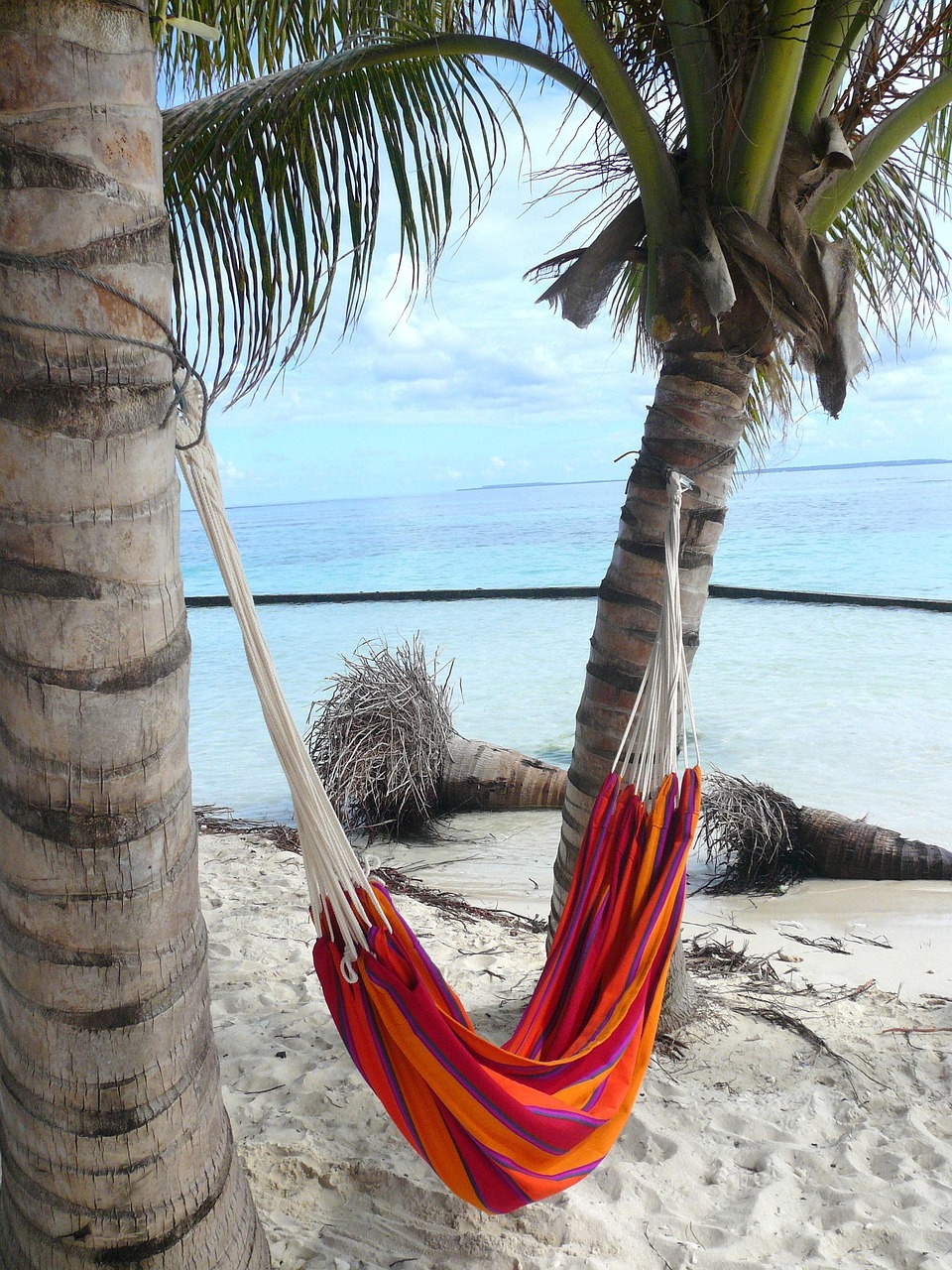 coconut tree, hammock, caribbean, sea, beach, holiday, nature, relax