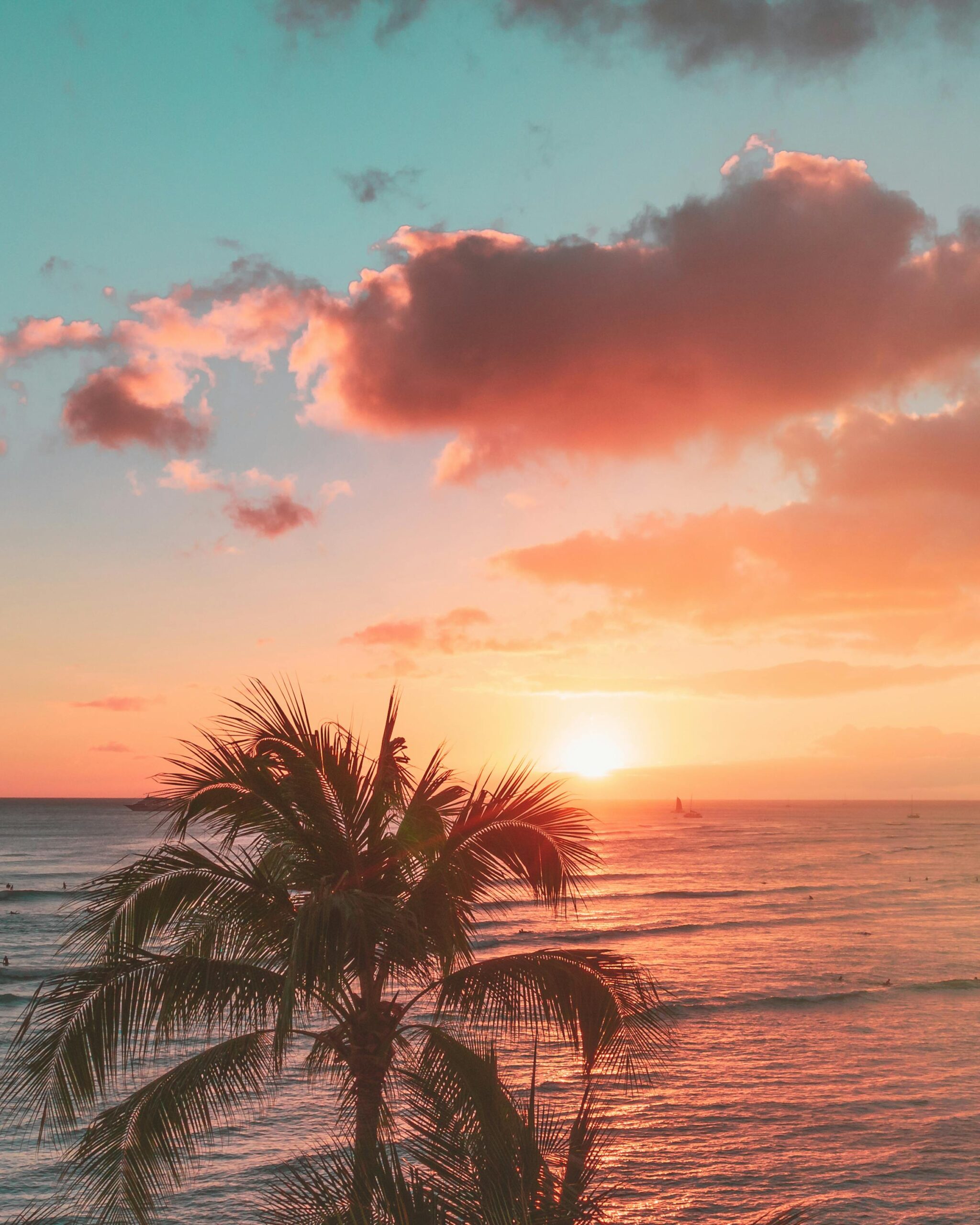 Experience a vibrant Hawaiian sunset over the ocean, complete with palm trees and colorful skies.