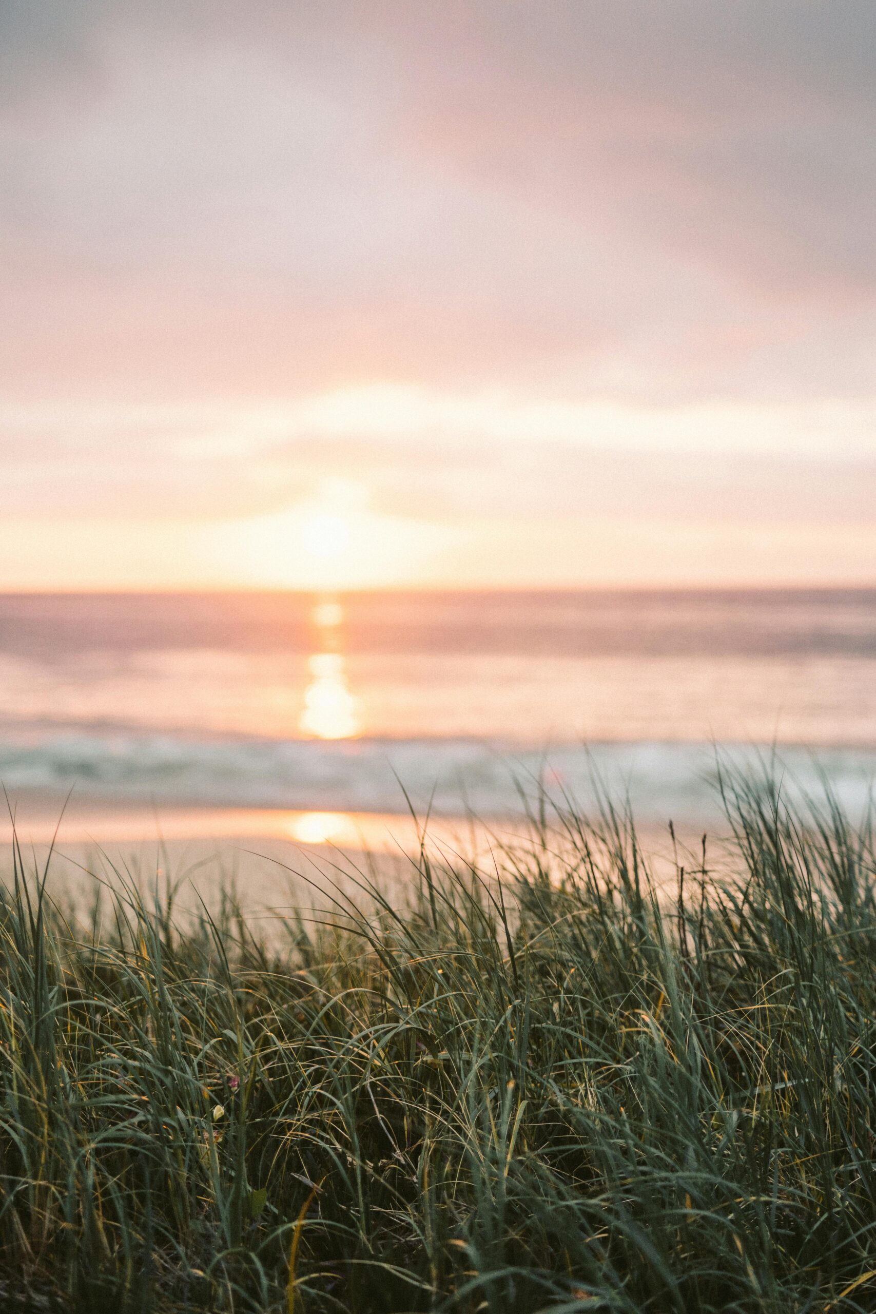 Gentle sunrise over a tranquil beach with grass in the foreground, creating a peaceful morning scene.